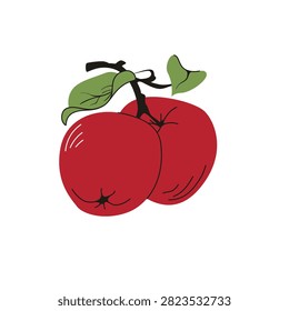 Two red apples together with green leaves, flat hand-drawn vector illustration isolated on white