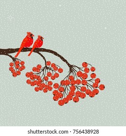 Two red birds cardinal on branch with berries