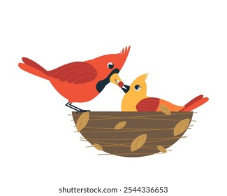 Dois pássaros cardeais vermelhos fêmea e macho alimentando-se um ao outro, casal de pássaros no cartaz de amor ilustração vetor plana. Desenhos animados de pássaros cardeais do norte bonitos no fundo do inverno. Modelo para o dia dos namorados.