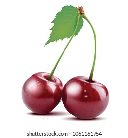 Two red cherries isolated on white background - vector illustration
