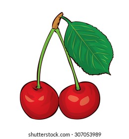 Two red cherries on a branch with leave. Red cherry. Hand drawn vector illustration.