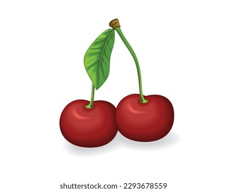 Dos bayas de cerezo rojas. Aislado en blanco. Ilustración vectorial.
