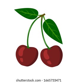 Two red cherry with a stalk and leaves. Berry isolated on a white background. Stock vector illustration.