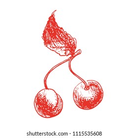 Two red Cherry,Hand drawn, graphic element sketch