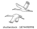 Two Red crowned Crane. Vector line art illustrations set.