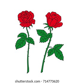 Two red flower roses
