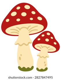 two red fly agaric mushrooms isolated on white background