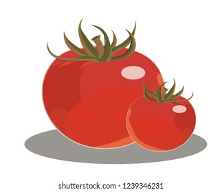 Two red fresh realistic tomatoes on the white background. Vector isolated illustration