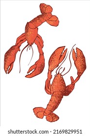 Two red hand drawn lobsters on a white background. Color vector illustration.