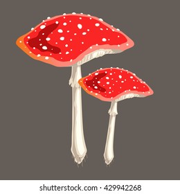 two red mushroom
