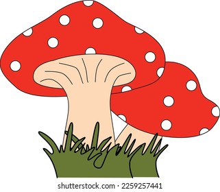 Two red mushrooms with very beautiful grass