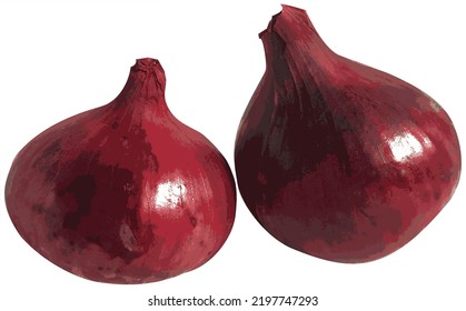 Dos cebollas rojas sobre un fondo blanco