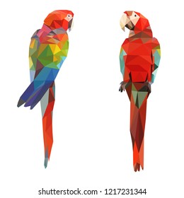 Two red parrot macaw, front view and rear view isolated on white background. Vector illustration in polygonal style.
