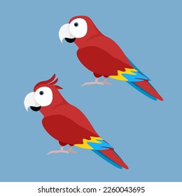 Two red parrots on a blue background