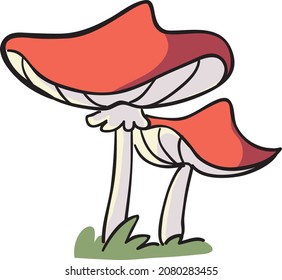 two red poisonous mushrooms in the grass