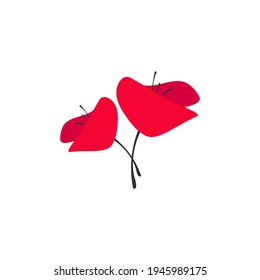 Two Red poppy flowers isolated on white. Wild scarlet bloom. Vector illustration. Eco, floral, natural, love symbol. Vector flat logo isolated on white.