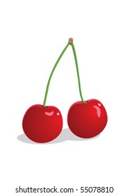 Two red ripe cherries on a shank