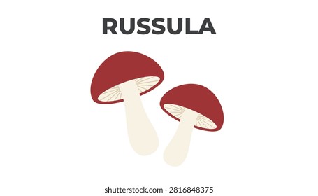 Two red russula mushrooms with white stalks and gills isolated on a clean white background with bold typography.
