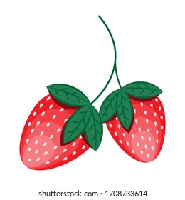 Dos fresas rojas en una rama sobre un fondo blanco.Imagen vectorial. Vector Eps 10