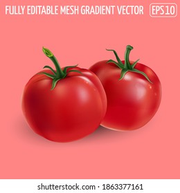 Two red tomatoes on a pink background.
