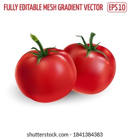 Two red tomatoes on a white background.