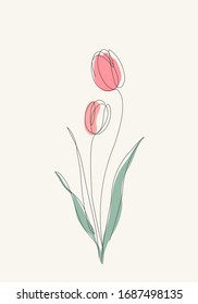 Two red Tulips flowers line drawing art. Vector illustration