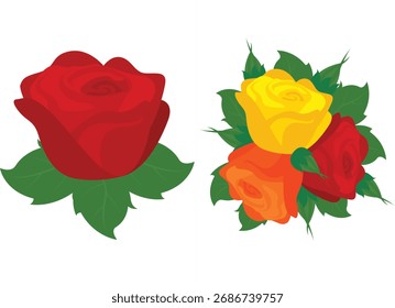 Dos rosas rojas y amarillas aisladas sobre fondo blanco. Ilustración vectorial.