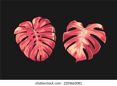 two red-pink monstera black background