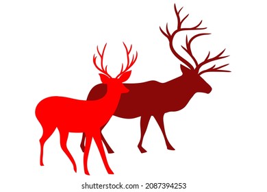 Two reindeer illustration icon vector | Isolated on white backgraund