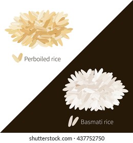 Two rice varieties on a black and white background. Vector illustration.