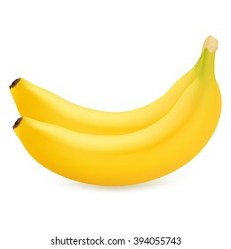 Two ripe bananas isolated on white background. Realistic vector illustration.