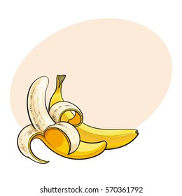 Two ripe bananas, one open, another unopened and unpeeled, sketch style vector illustration isolated with place for text. . Realistic hand drawing of open and unopened ripe bananas