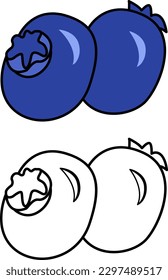 Two Ripe Blueberries. Blueberry Vector Illustration for Coloring Pages