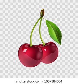 Two ripe cherries, sweet berry, fresh food. Vector illustration.