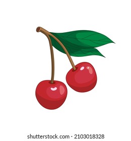Dos cerezas coloridas maduras con tallo y hojas aisladas en fondo blanco, ilustración vectorial de bayas jugosas, impresión, pegatina con logo