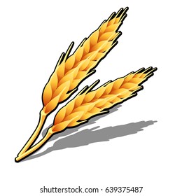 Two ripe cut ears of wheat or barley isolated on white background. The harvest of cereals. Vector cartoon close-up illustration.