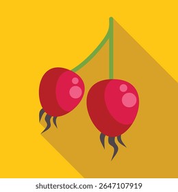 Dois frutos maduros da rosa do cão pendurados em um galho com ícone de folha verde em estilo plano com sombra longa em um fundo amarelo