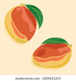 Zwei reife Mangos verschiedener Formen mit Blättern. saftige tropische Früchte.