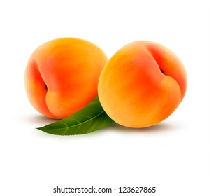 Two ripe peach fruit with leaves. Vector illustration.