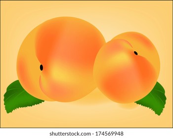Two ripe peach fruit with leaves. Vector illustration. 