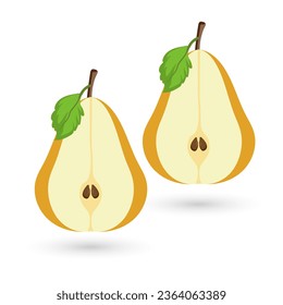 TWO Ripe pear fruits on Isolated white background. And yellow pear fruit with half cut sliced on white background used in Organic healthy fruits vector illustration