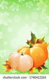 Two ripe pumpkins on a light green background with autumn leaves. Vector illustration. Autumn thanksgiving card.