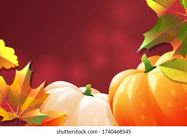 Two ripe pumpkins on a red background. Vector illustration. Autumn thanksgiving card