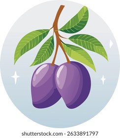 Two ripe purple mangoes (Mangifera indica 'Sensation') hang from a branch amidst lush green leaves in Phitsanulok, Thailand. The sweet tropical fruit is almost ready for harvest