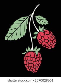 Two ripe raspberries on a branch with green leaves, against a black background. hand-drawn illustration