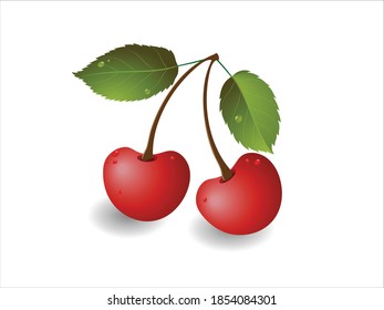 Two ripe red cherries with green leaves isolated on white background. Vector illustration for design.