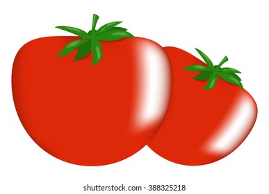 Two ripe red tomatoes. Vector illustration, clip art