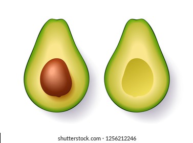 Two ripe slices of avocado, one slice with core. Cut in half avocado Isolated on the white background. Vector illustration 