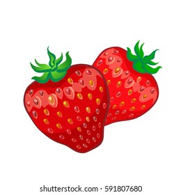 two ripe strawberries isolated on white background, vector illustration, part of collection