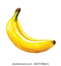 Two ripe yellow bananas side by side
